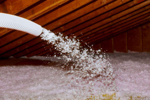 Best Affordable Insulation Services  in South Euclid, OH